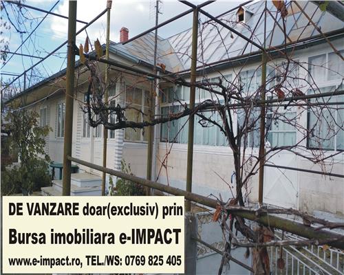 De VINZ. Casa 10 camere+depedinte, Zorleni - Islaz , Id_Bursa 357